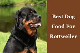 the best dog food for a rottweiler 7 top picks