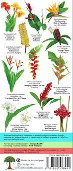 We did not find results for: Costa Rica Tropical Flowers Leal Enrique Amazon De Bucher