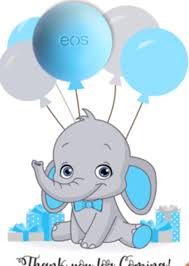 Bailey Loves Elephants So Much Baby Elephant Nursery Baby Elephant Baby Shower