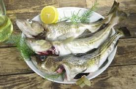 Which Species Of Fish Are The Healthiest To Eat Costas Inn Korean Cooking Eat Seafood Dishes