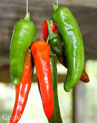 While it is common to blanch peppers prior to freezing them, it is not necessary to preserve the green peppers' texture or flavor. How To Preserve Peppers