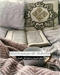 قرآن كريم printed rugs animal print rug throw pillows
