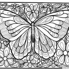 We did not find results for: Coloring Pages Butterfly Colouring Hard