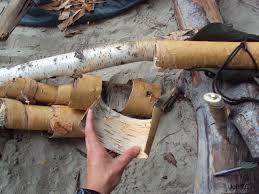 Tutoriel Fabriquer Un Contenant En Ecorces De Bouleau Ecorce De Bouleau Bouleau Ecorce