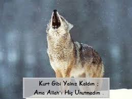 Zeki Arslan Yalniz Kurt Masallari 1