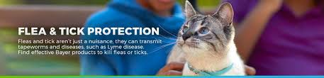 Get the best deals on cat flea collars. Bayer Cat Flea Control Cat Flea Tick Collars Petsmart