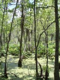 Lowcountryglamping Lowcountryglamping - Profile Pinterest