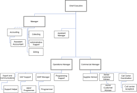 organizational chart or network diagram of the organization