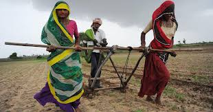 Elections 2019 What Has Narendra Modi Government Done About Bjp S 2014 Promises To India S Farmers You seem to be deviating from the point. elections 2019 what has narendra modi