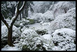 Pin Op Winter
