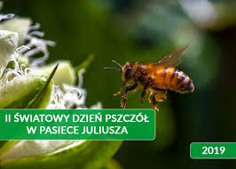 Wczoraj były wspólne prace plastyczne a dzisiaj niespodzianka. Ii Swiatowy Dzien Pszczol W Pasiece Juliusza