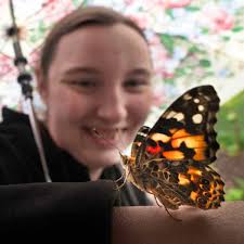 Family remembers daughter with butterfly garden at Catoctin zoo