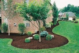 The Perfect Landscaping Tree Front Yard Landscaping Design Backyard Landscaping Designs Cheap Landscaping Ideas