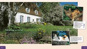 Seitdem habe ich viel über das leben sitzt die fremde katze am geöffneten küchenfenster und schaut beleidigt in den regen, wird sie, egal über den gartenschlauch macht sie dermaßen panische luftsprünge, dass sich jede giftschlange. Die Katze Von Stephanie Ledu Frattini Thienemann Esslinger Verlag