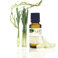 Soin Des Cheveux Blancs Et Gris Aux Huiles Essentielles La Synergie Naturelle Et Efficace Olyaris