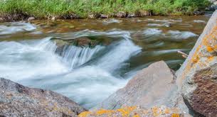 River refers to a stream that is fairly large in size. Spring Creek Archives Blog Vailvalleyanglers Com