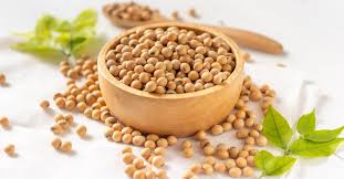 We did not find results for: Soia Gialla Proprieta 3 Ricette