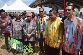 Jabatan kerajaan negeri/persekutuan selangor/badan berkanun negeri. Hutan Simpan Kekal Terengganu 542 411 Hektar Trdi News