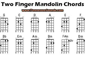 Pin By Dustin Lewis On Mandolin In 2019 Mandolin Lessons