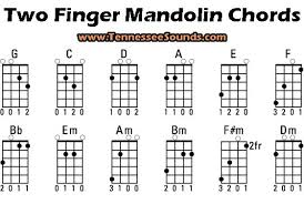 50 Best Mandolin Images In 2019 Mandolin Mandolin Lessons