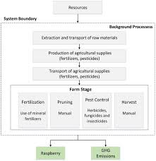 The cook's service technicians are fabulous! Comparing Two Cf Dea Methods For Assessing Eco Efficiency From Theoretical And Practical Points Of View Sciencedirect