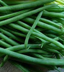 How java beans are different from java classes? Jade Green Bush Bean Johns Scheepers Kitchen Garden Seeds