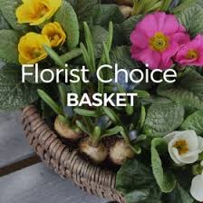 Check spelling or type a new query. Miss Daisy Florist Florist In Dublin Flower Delivery