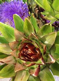 Fleur D Artichaut Fleur D Artichaut Fleurs Fleuriste