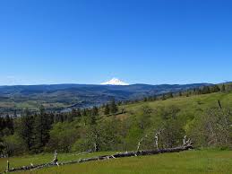 Wildflowers are a primary draw to the catherine creek area. Catherine Creek Trail In Wa Catherine Creek Trail At Colum Flickr