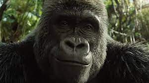 From the jungles of africa to the shores of the pacific northwest to the ford african rain. The One And Only Ivan 2020 Imdb