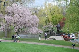 Take A Ride On The Swan Boats In The Boston Public Garden Boston Public Garden Public Garden Boston Public