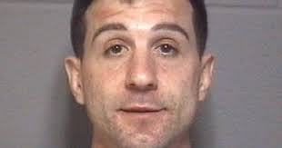 Sycamore police seize 17 marijuana plants