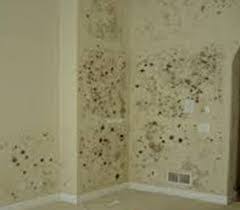 تفسير خروج الماء من جدران المنزل في المنام لابن سيرين