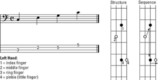 How To Play Basic Triads On The Bass Guitar Dummies