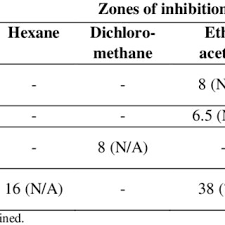 Image result for Cucumis aculeatus