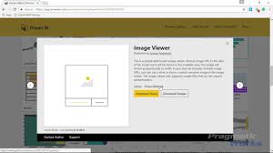 If you need a highly specialized application that can be used to view and interact with your power bi dashboards, or you have to share them with your. Power Bi Custom Visuals Image Viewer Youtube