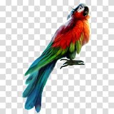 quetzal flying transparent background png cliparts free download hiclipart quetzal flying transparent background