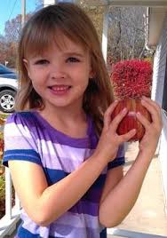 Murder of Jersey Bridgeman