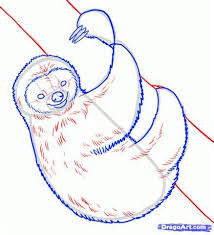 How To Draw A Sloth Yahoo Image Search Results Oso Perezoso Bocetos De Animales Perezoso