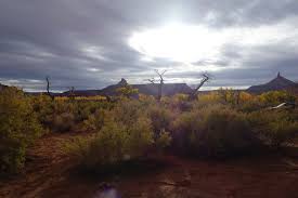 Sport climber laybacks his way up desert towers!