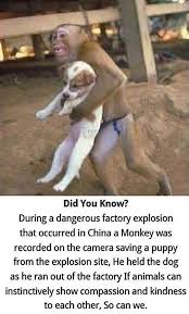 Pin On Birthday Gift Guide Rustic Gift Ideas