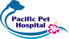 Everyone who works there is caring, knowledgeable, and patient. Veterinarian Chula Vista Ca Pacific Pet Hospital