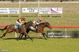 123 Lucinda Thomas Stock Photos, High-Res Pictures, and Images