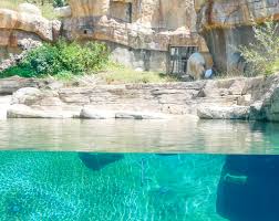 The 15 best places for grilled fish in san diego. San Diego Zoo I Wish You Were Here
