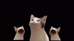 #pop cat #cat #cat memes #memes #popcat #pog cat #damemer #memer #da memer #mouth cat #cat mouth sound #popcatmob ­. Pop Cat Gif Pop Cat Discover Share Gifs