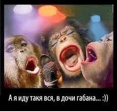 а я иду такая вся в дольче габбана скачать A Ya Idu Takaya Vsya V Dolchi Gabana Monkeys Funny Monkey Pictures Funny Animals