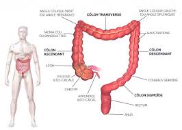 Find what to do today, this weekend, or in august. Colorectal Pathologies