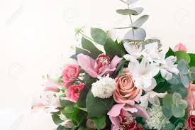 The meaning of pink roses can stand for. Beautiful Floral Background Bouquet Of Salmon Colored Roses Stock Photo Picture And Royalty Free Image Image 163500036