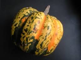 Image result for carnival acorn squash