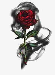Rose Black Smoke Smoke Png Transparent Clipart Image And Psd File For Free Download Skull Rose Tattoos Black Rose Tattoos Smoke Tattoo